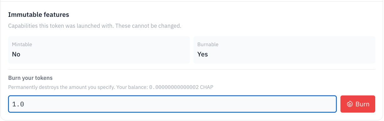 Immutable features — the mintable / burnable capabilities set at launch, and a Burn control