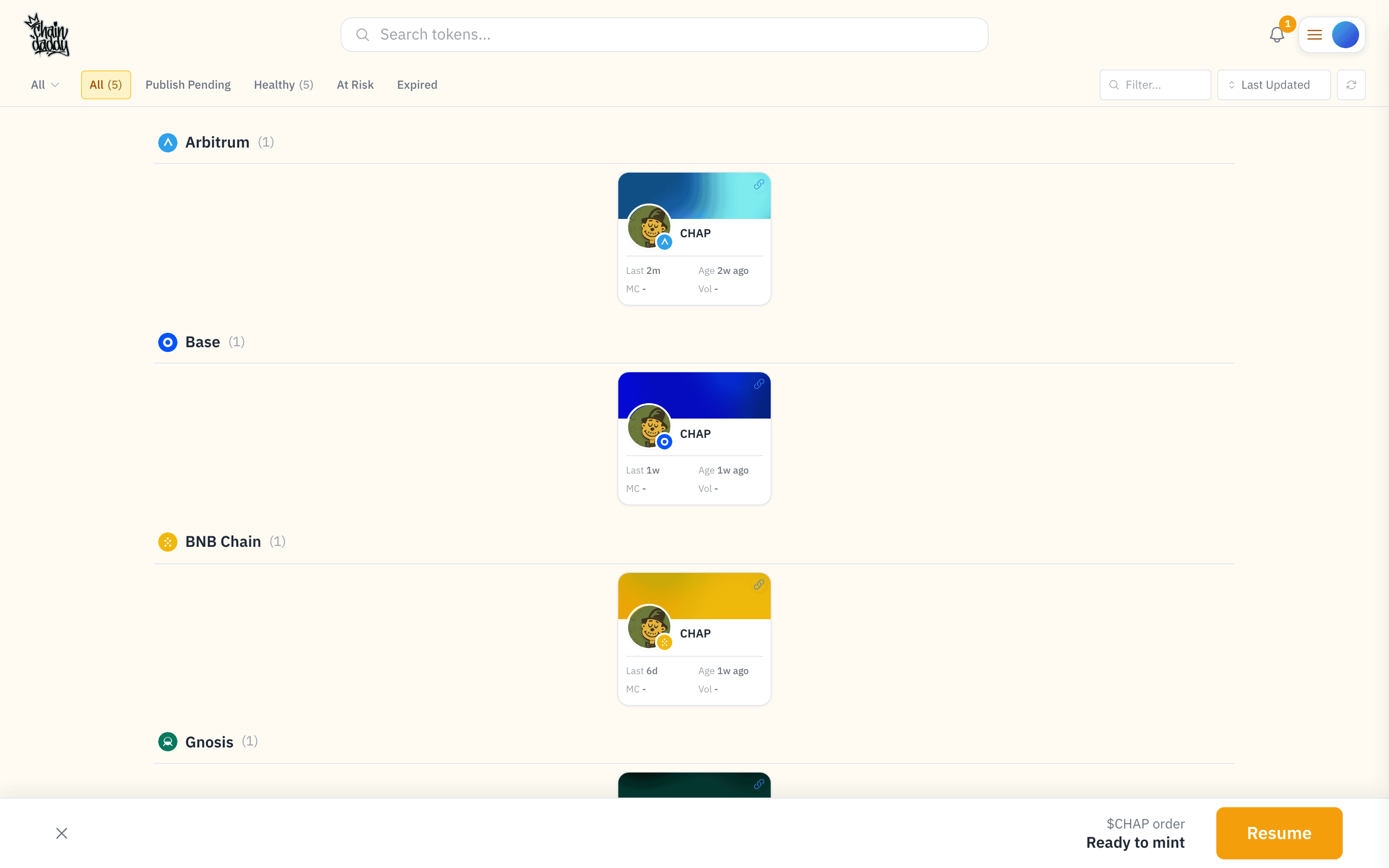 My Tokens dashboard — one ticker (CHAP) held by the same wallet across Arbitrum, Base, BNB Chain, Gnosis, and Polygon